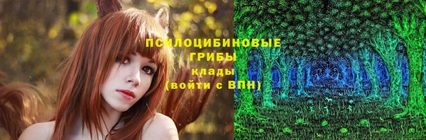 тгк Аркадак