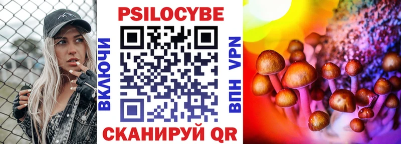 где купить наркоту Сычёвка Псилоцибиновые грибы ЛСД